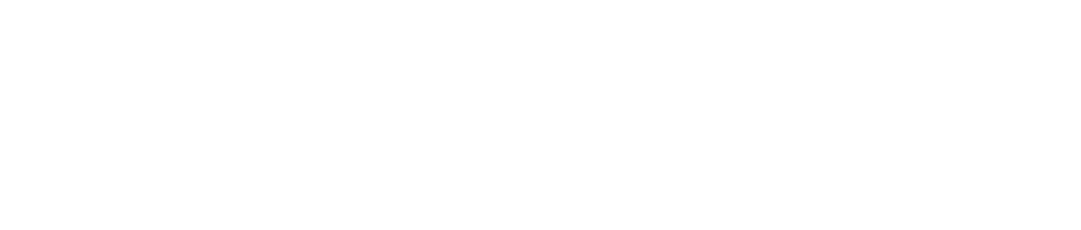 Guitar Earo