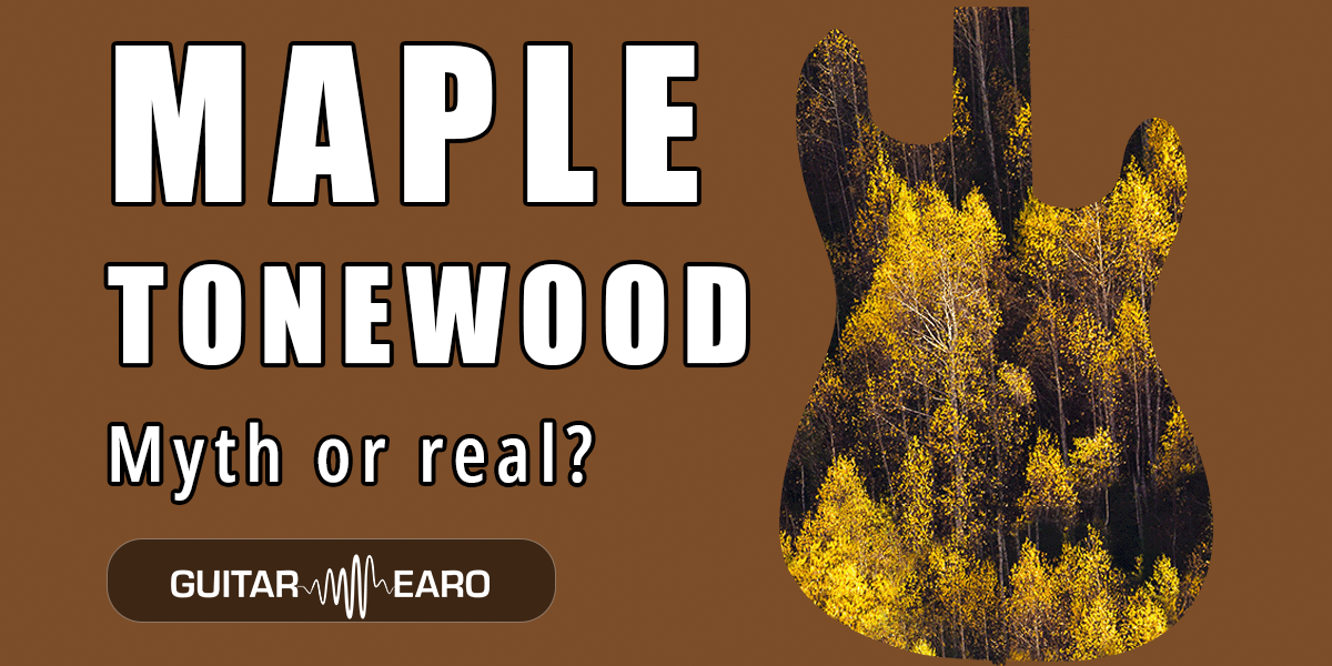 Maple Tonewood Characteristics on Electric Guitars